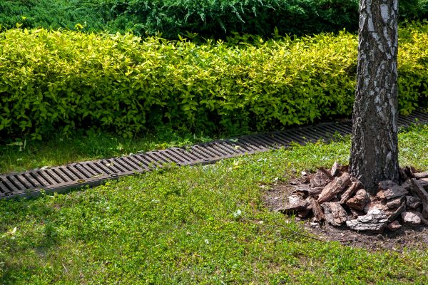 Residential Landscape Drainage in Edmond